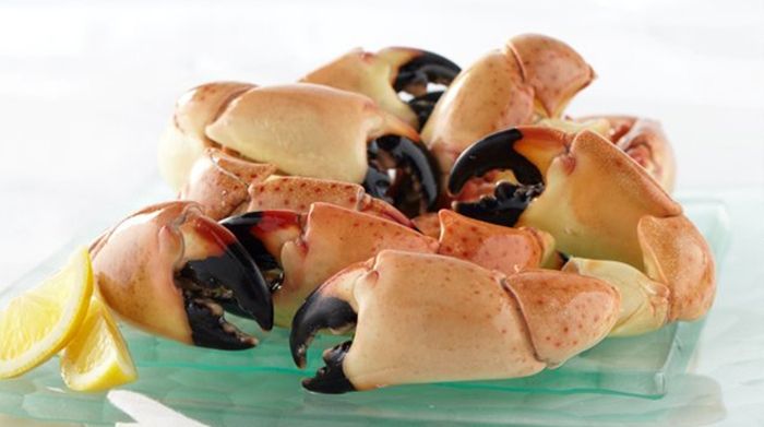 Large Stone Crab Claws