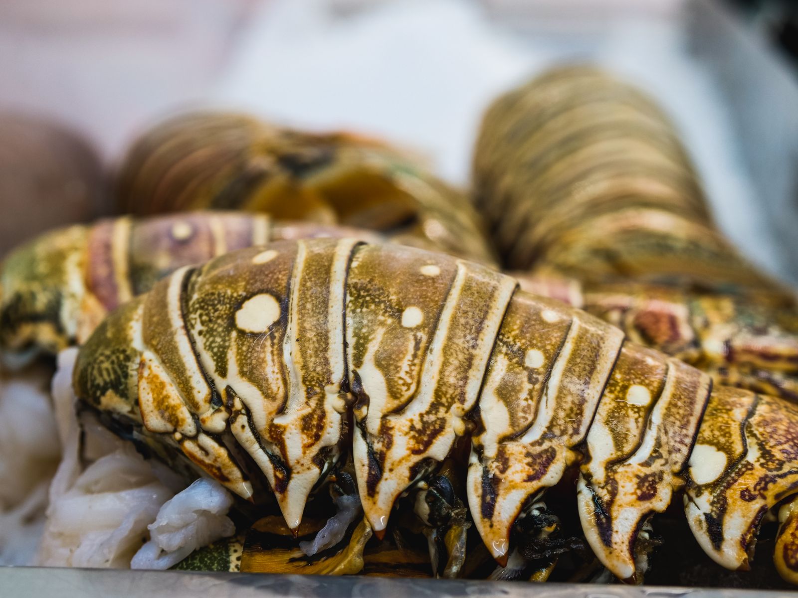 Lobster Tails, Fresh - 10lb Box